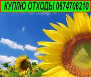 Куплю отходы подсолнечника