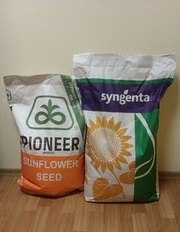 Семена гибридов подсолнечника НК Брио,  НК Роки,  НК Конди Syngenta