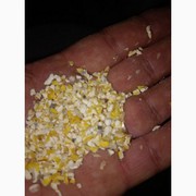 Зерновідходи,  побічний продукт кукурудзи (від 25 т).