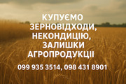 Купуємо некондиційну с.г. продукцію та зерновідходи  
