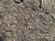 Куплю деловые отходы подсолнечника,  рапса. Скупка сора.