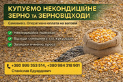 Закупівля некондиційного зерна та агровідходів по Україні